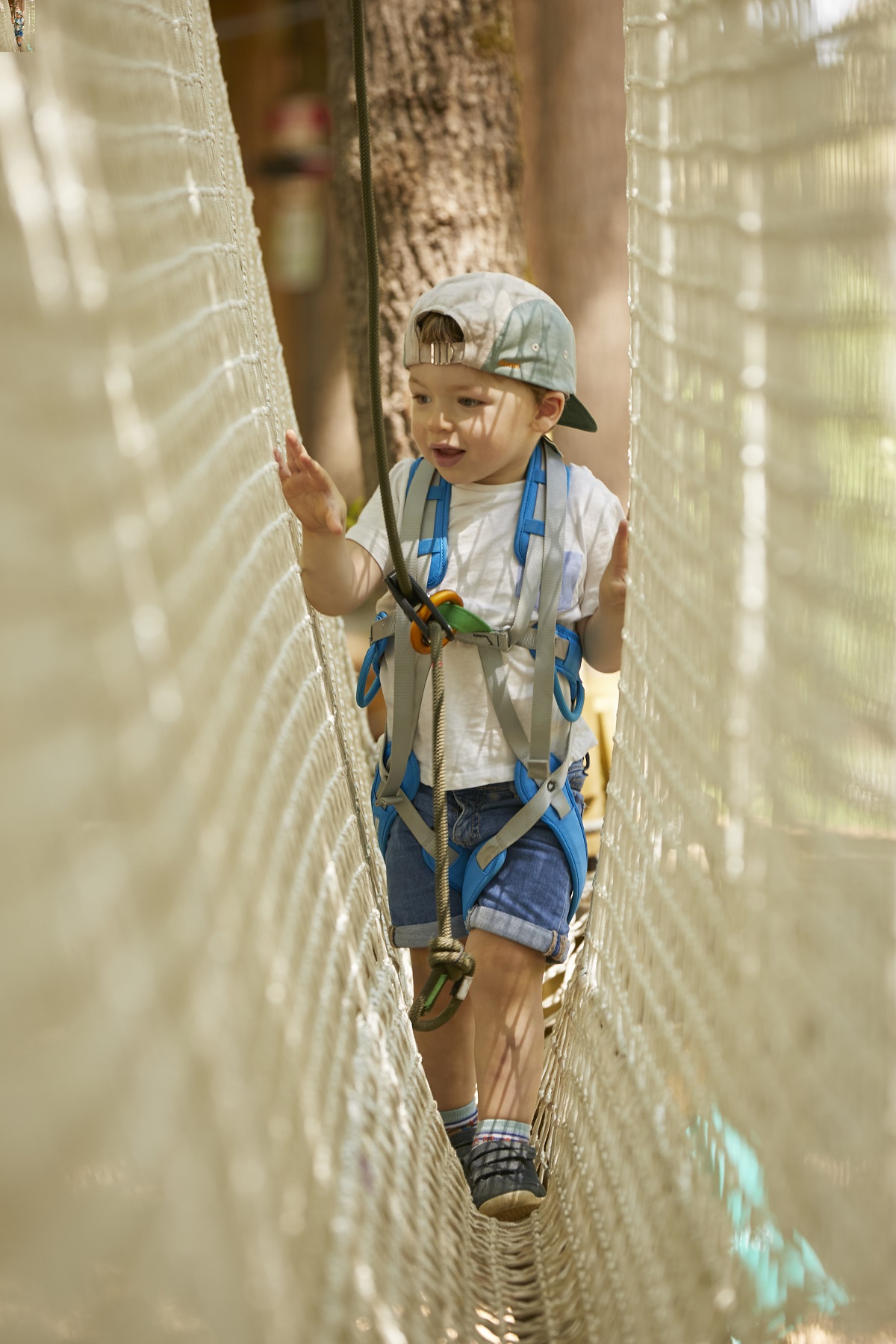 Accrobranche – Natura Game – Albi